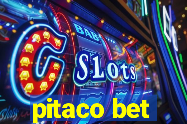 pitaco bet